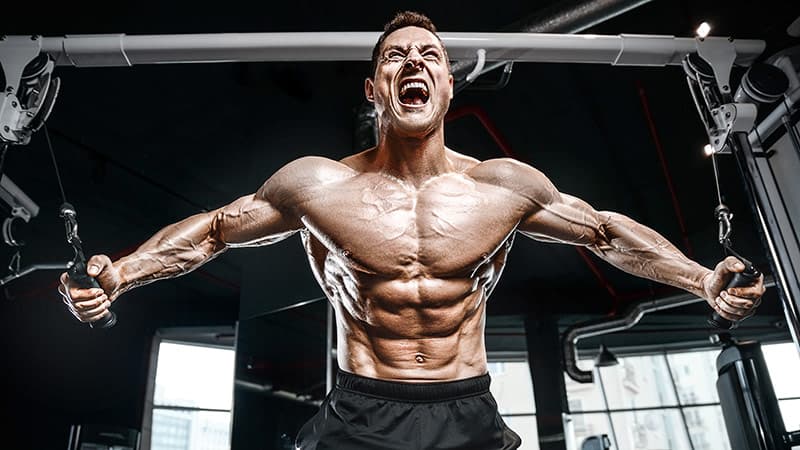 Black Mamba Fatburner: Verbrennen Sie Fett schneller als je zuvor