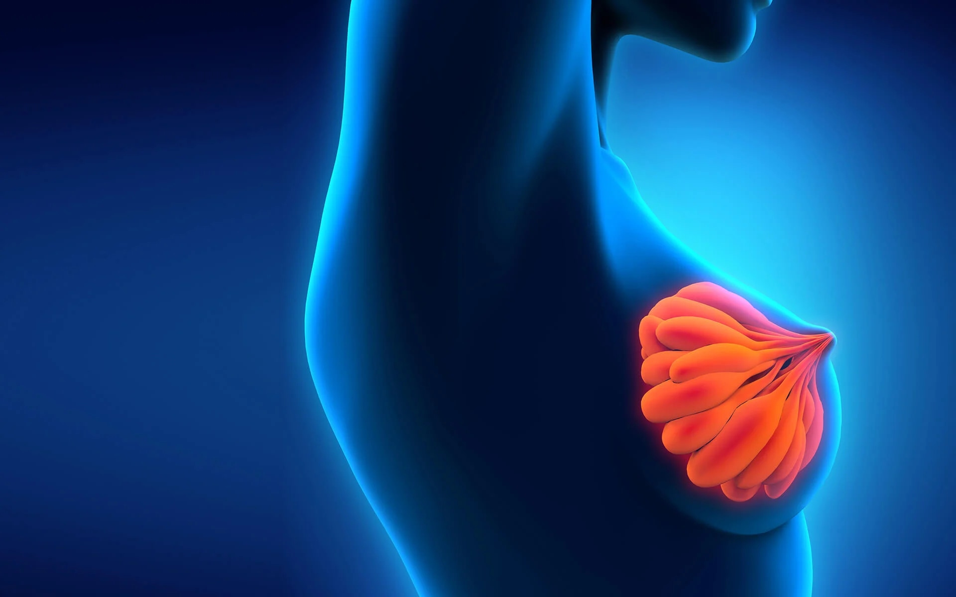 Ist die Brustvergrößerung mit Eigenfett eine sichere Alternative zu Implantaten?