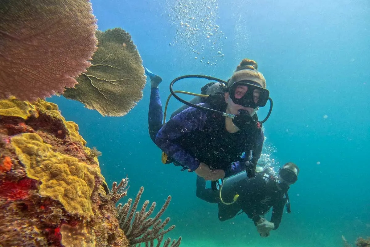 Tauchen Mexiko für Familien: DeepDiveMexico heißt alle willkommen