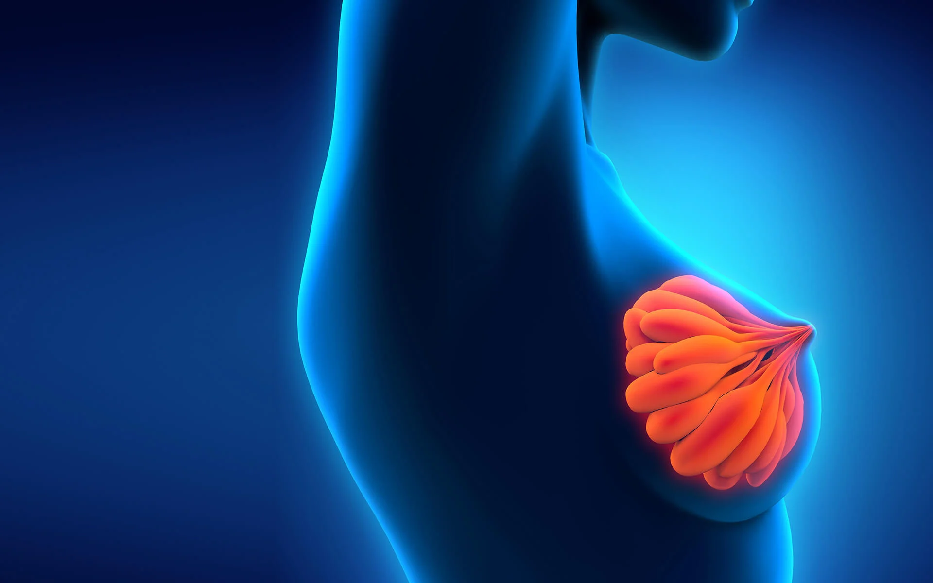 Ist die Brustvergrößerung mit Eigenfett eine sichere Alternative zu Implantaten?